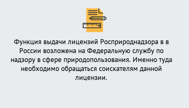 Почему нужно обратиться к нам? Лесозаводск Лицензия Росприроднадзора. Под ключ! в Лесозаводск