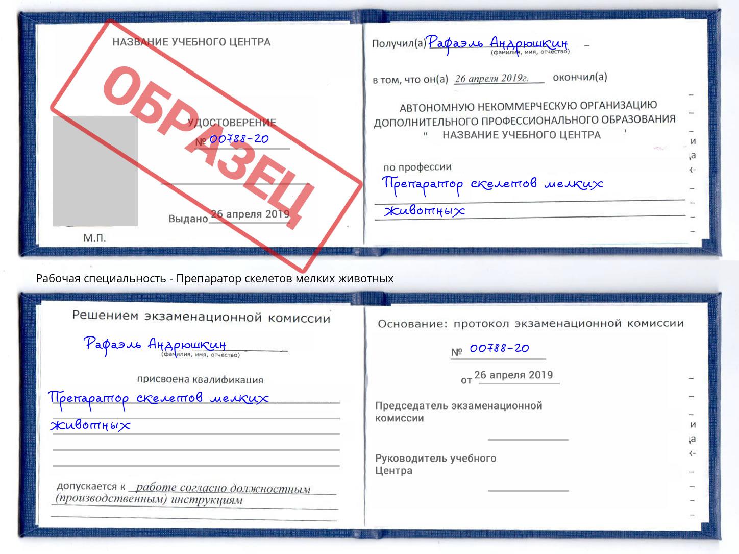 Препаратор скелетов мелких животных Лесозаводск