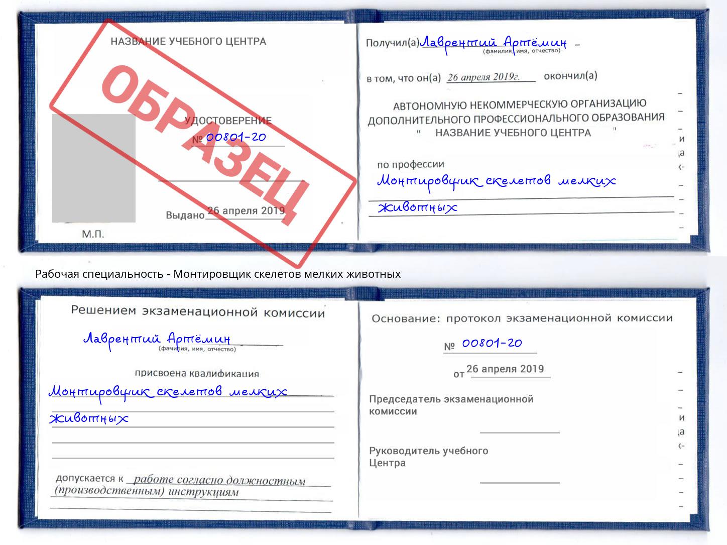 Монтировщик скелетов мелких животных Лесозаводск