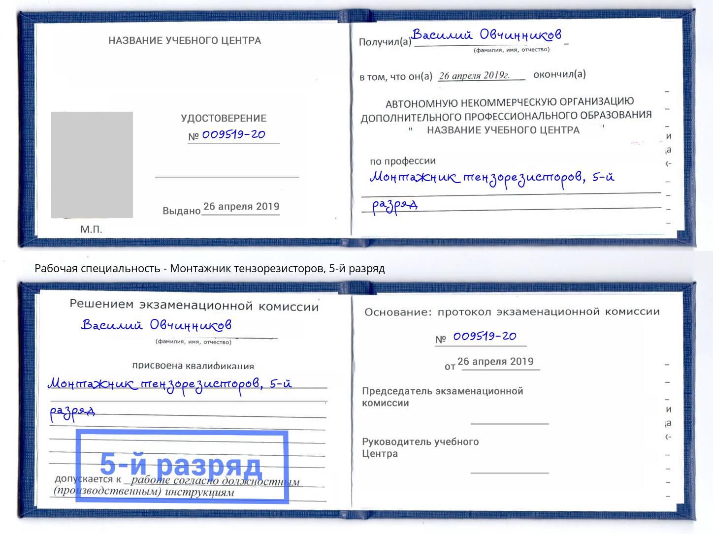 корочка 5-й разряд Монтажник тензорезисторов Лесозаводск